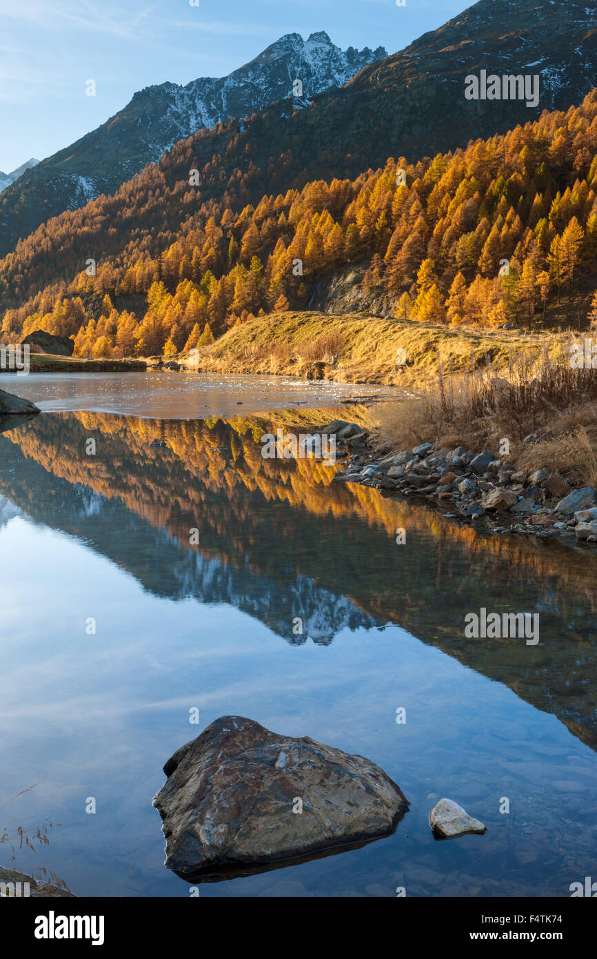 Lac de base, Suisse, cantons, Valais, Lötschental, lac de montagne, le lac, la réflexion, l'automne, de mélèzes Banque D'Images