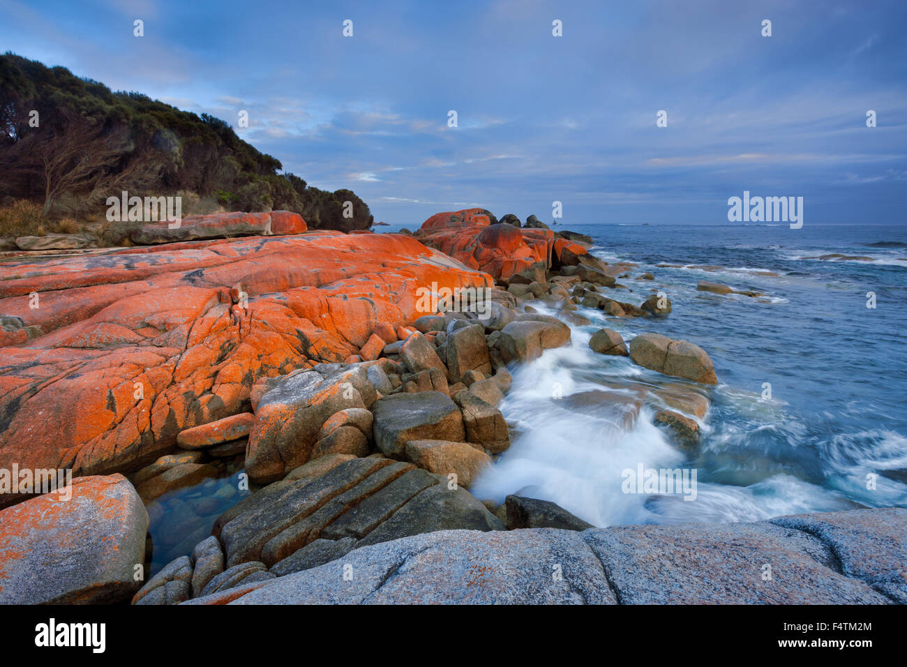 Bay of Fires, l'Australie, la Tasmanie, sur la côte est, dans la mer, rocher, falaise, lichens Banque D'Images