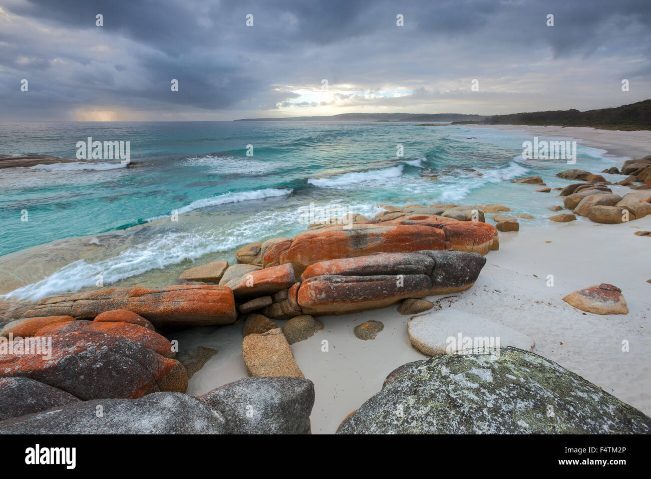 Bay of Fires, l'Australie, la Tasmanie, sur la côte est, dans la mer, rocher, falaise, lichens Banque D'Images