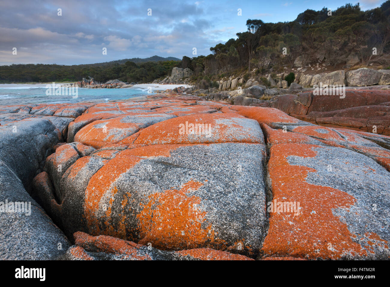 Bay of Fires, l'Australie, la Tasmanie, sur la côte est, dans la mer, rocher, falaise, lichens Banque D'Images