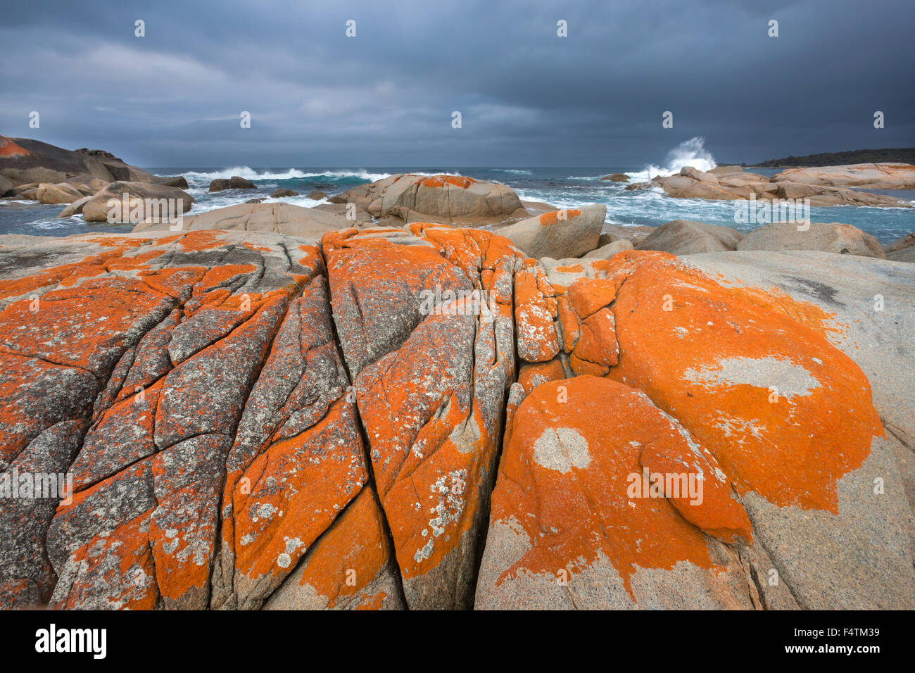 Baie Binalong Bay, en Australie, en Tasmanie, sur la côte est, dans la mer, rocher, falaise, lichens Banque D'Images