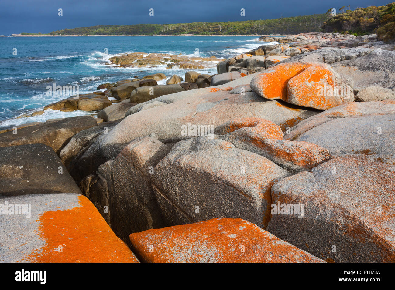 Baie Binalong Bay, en Australie, en Tasmanie, sur la côte est, dans la mer, rocher, falaise, lichens Banque D'Images