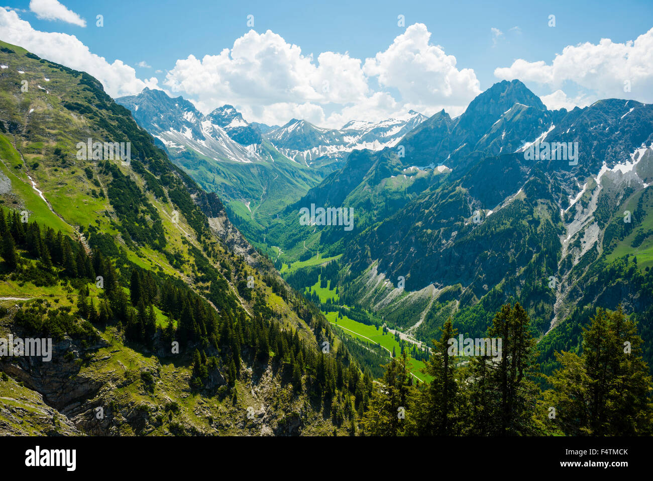 Allgäu, Alpes d'Allgäu, Allgäu, Alpes, destination, forêt protégée, bavaroise, près d'Oberstdorf, montagne, Mountain Brook, Banque D'Images