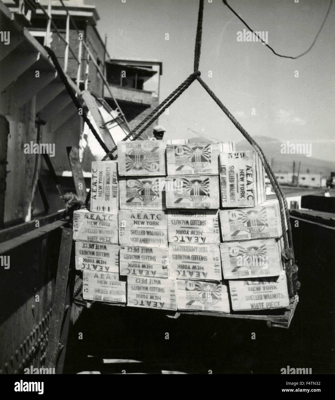 Au port de Naples noix écalées sont chargées à bord à destination des USA, Italie Banque D'Images