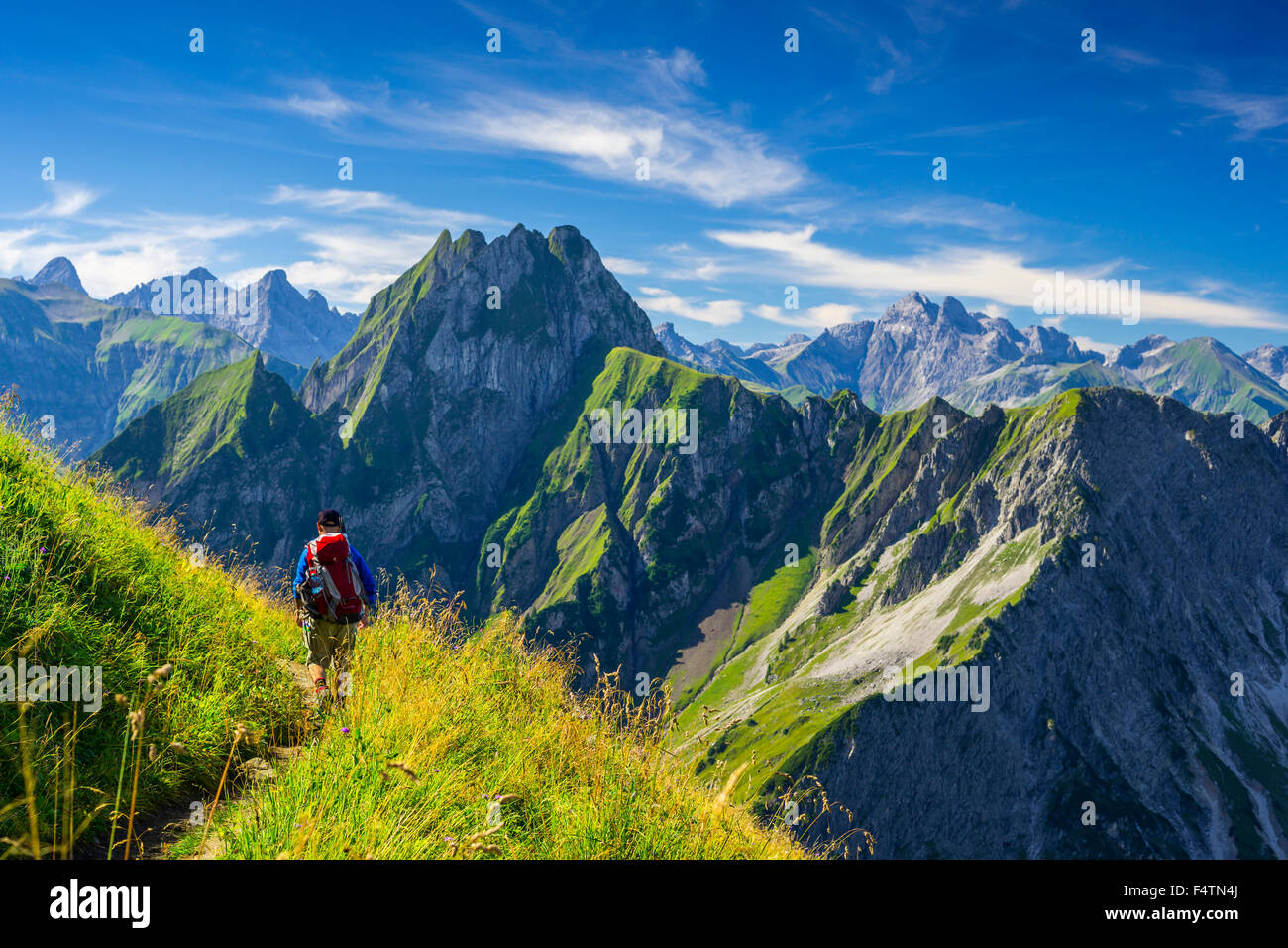 Allgäu Allgäu, Alpes, Alpes, Bavaria, paysage de montagne, l'Allemagne, l'Europe, Höfats Laufbacher Eck-Weg, sentier de montagne, Nebelhorn, Banque D'Images