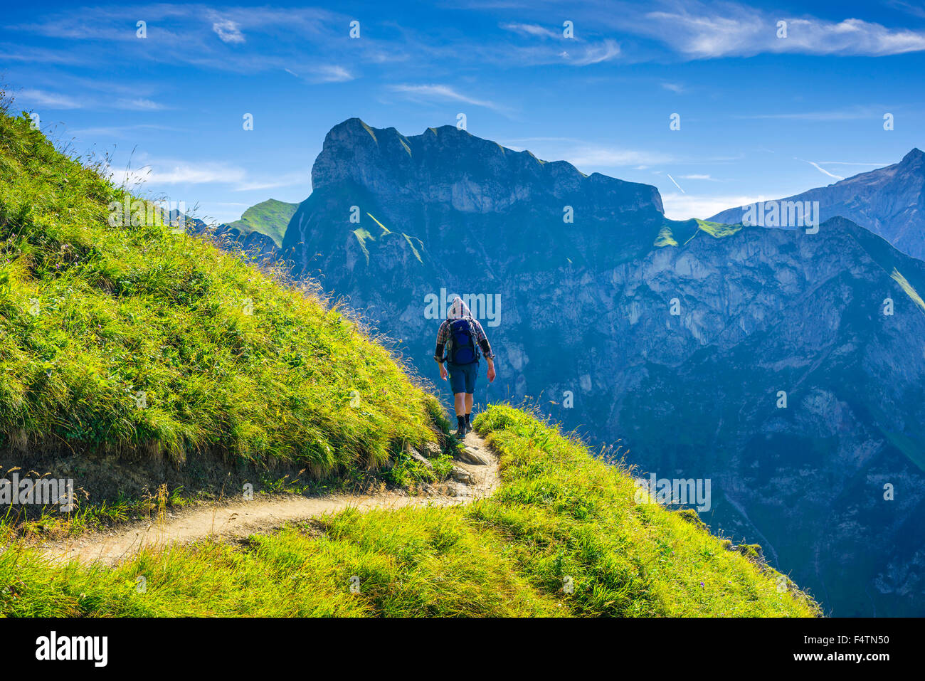 Allgäu Allgäu, Alpes, Alpes, Bavaria, paysage de montagne, l'Allemagne, l'Europe Laufbacher Eck-Weg, sentier de montagne, Mont Nebelhorn, Oytal, p Banque D'Images