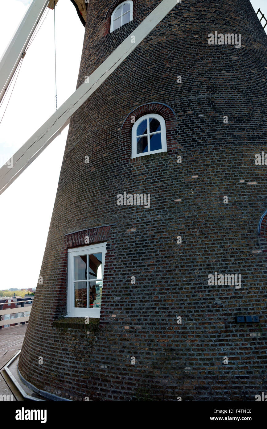 MOLEN DE VALK (moulin) WINDOWS Banque D'Images