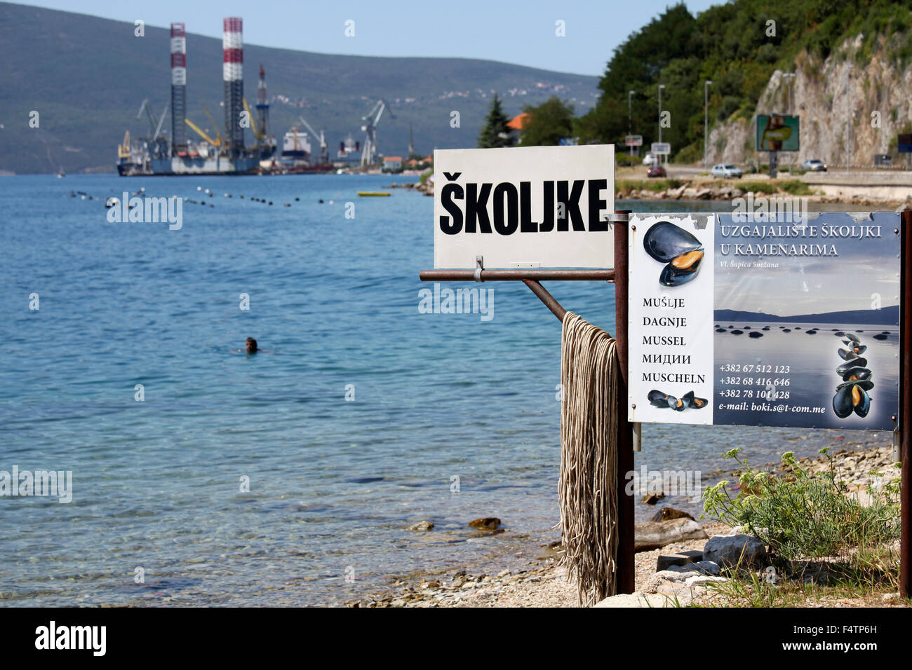 Ferme de moules de mer Adriatique au Monténégro à côté du quai flottant près de Tivat. la ligne 100m de collecteurs génère environ $1000 revenus annuels pour les agriculteurs Banque D'Images