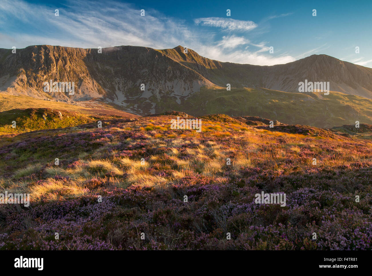 Cadair Idris, Galles Banque D'Images