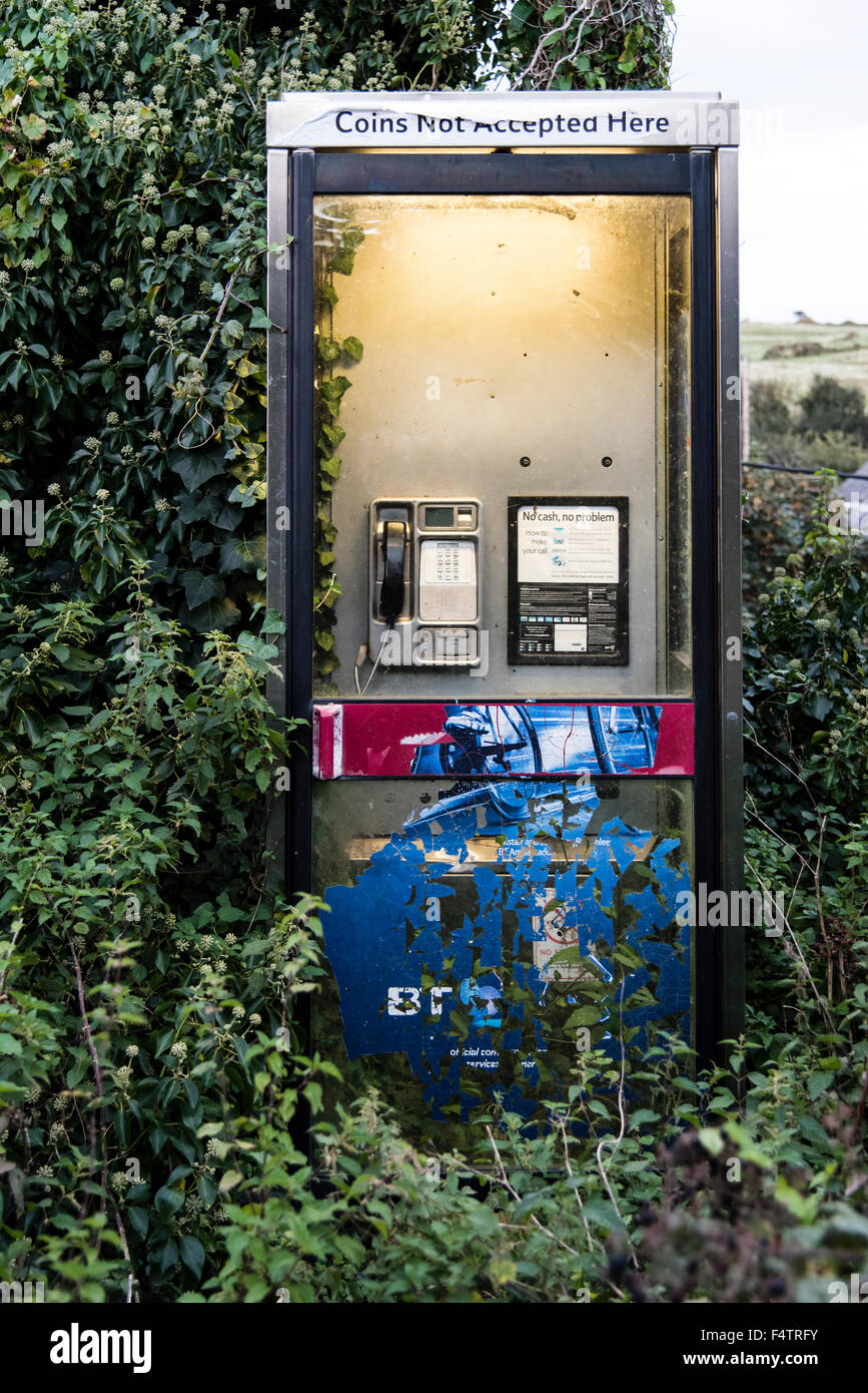 Une boîte de téléphone BT en milieu rural Dorset, Angleterre. Banque D'Images