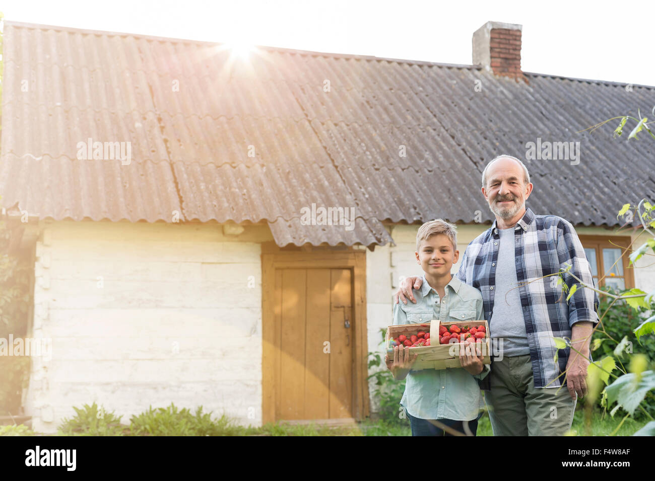 Portrait fier grand-père et petit-fils avec des fraises récoltées Banque D'Images