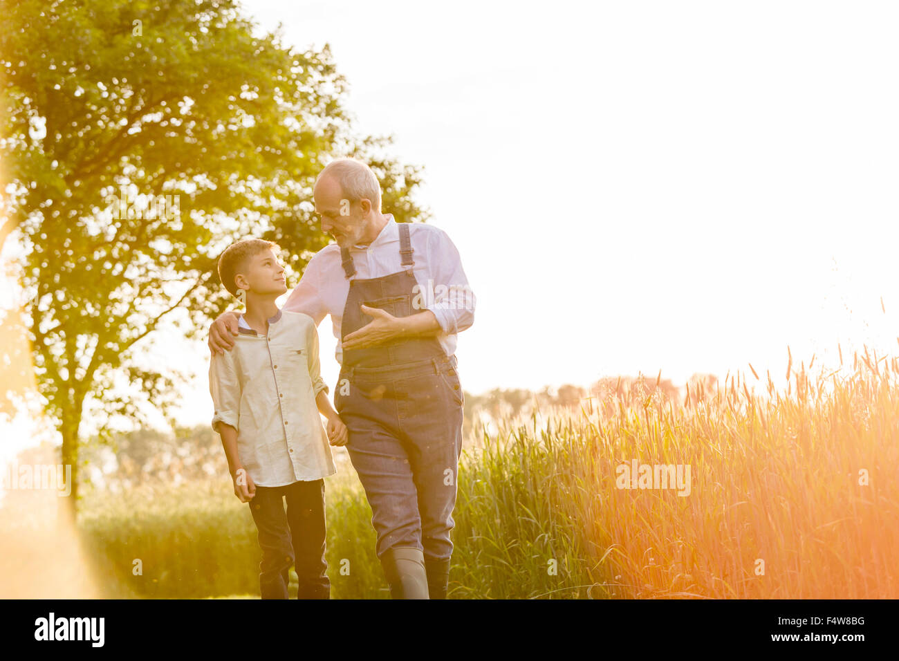 Grand-père en petit-fils parle des agriculteurs en milieu rural ensoleillée champ de blé Banque D'Images