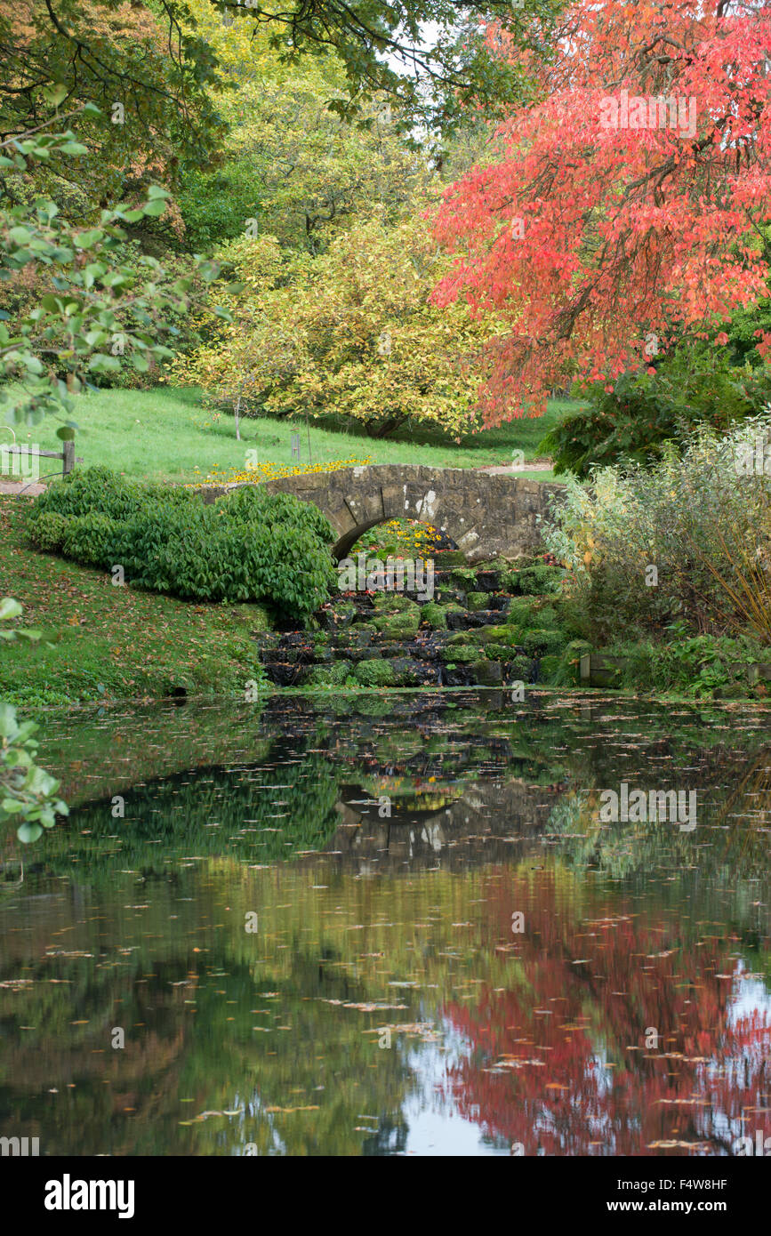 Couleurs d'automne, Wakehurst Place, Sussex, Angleterre Banque D'Images