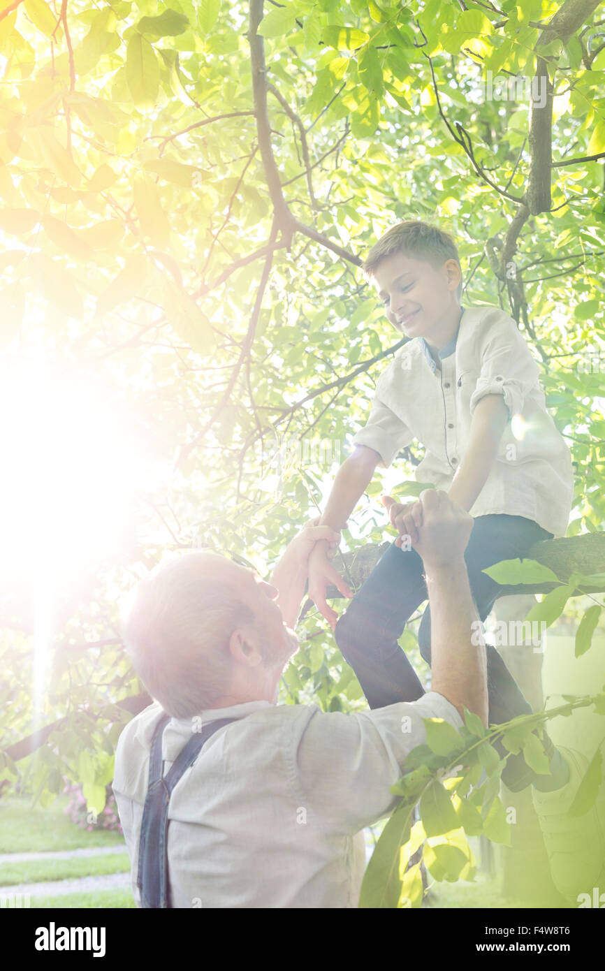 Aider grand-père petit-fils off sunny tree branch Banque D'Images