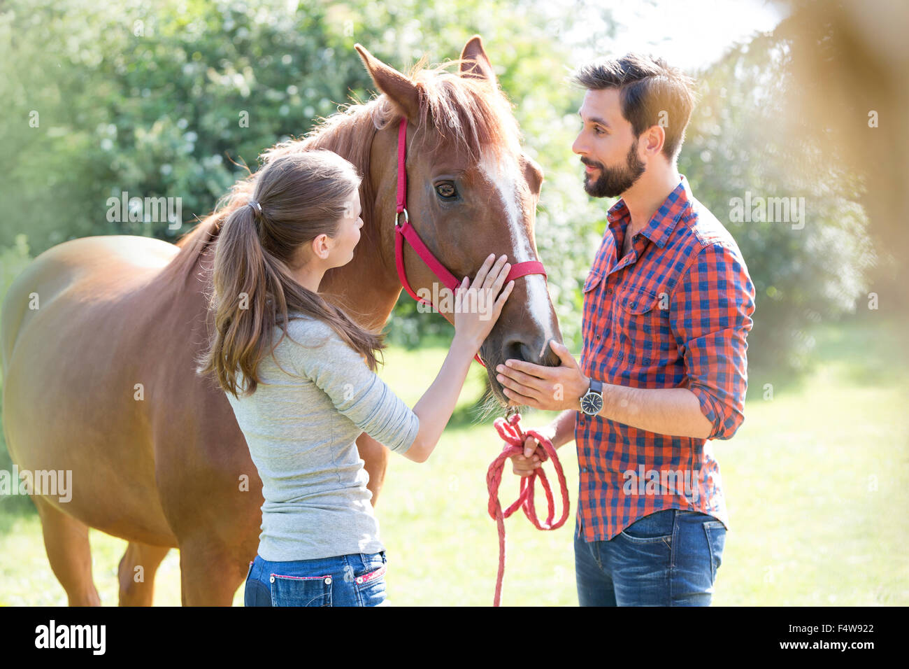 Couple petting horse Banque D'Images