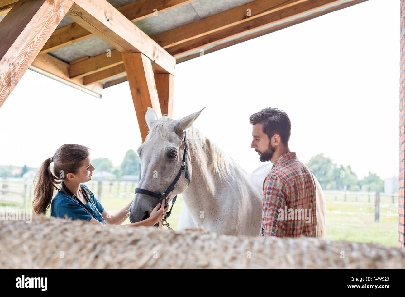 Couple petting horse stable en milieu rural Banque D'Images