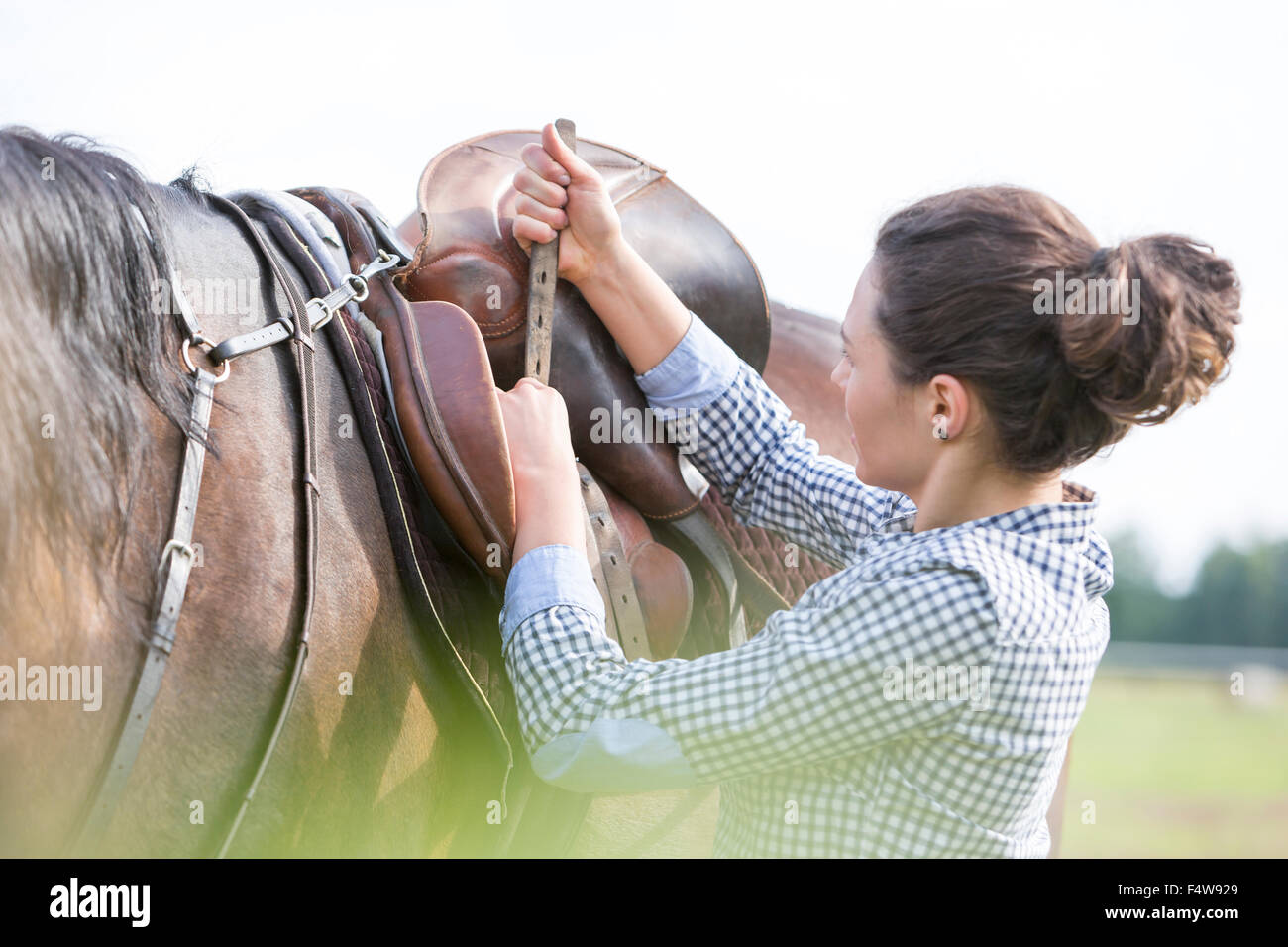 Serrant femme selle de cheval pour l'équitation Banque D'Images