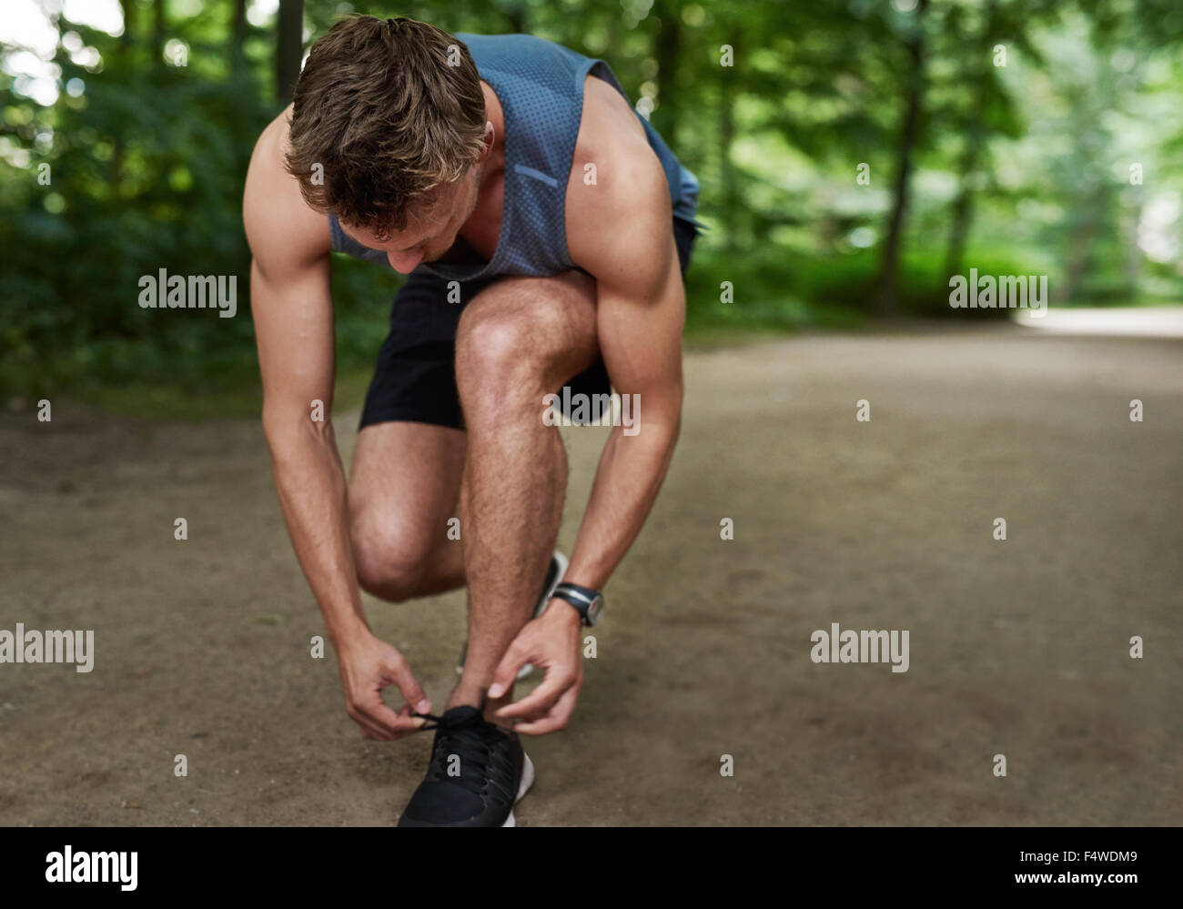 Mettre en place l'homme jogger se pencher lier ses lacets dans une piste à travers un parc boisé luxuriant dans un concept de vie sain Banque D'Images