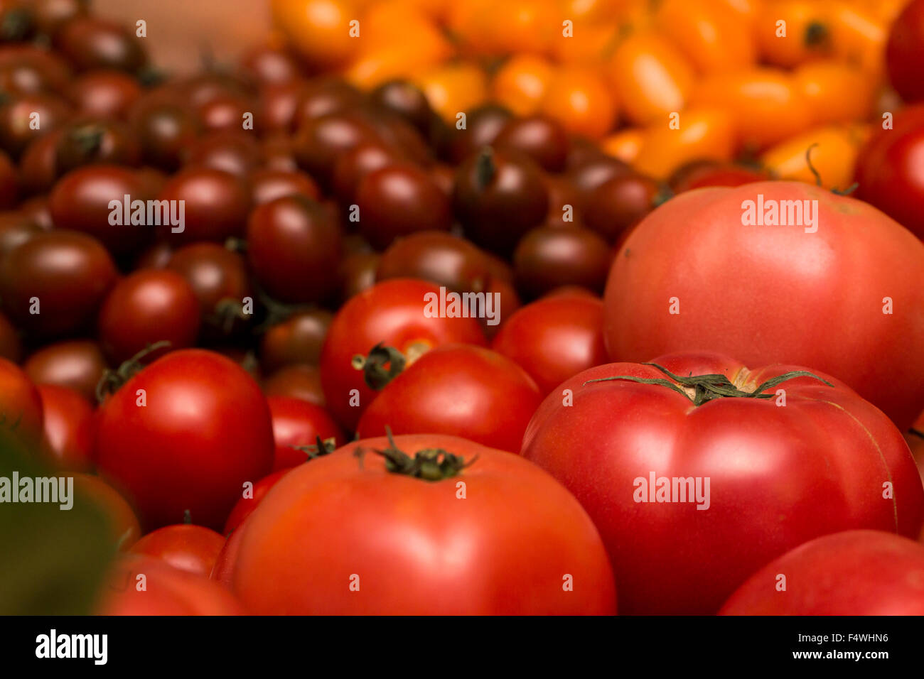 Tomates, tomate cerise Banque D'Images