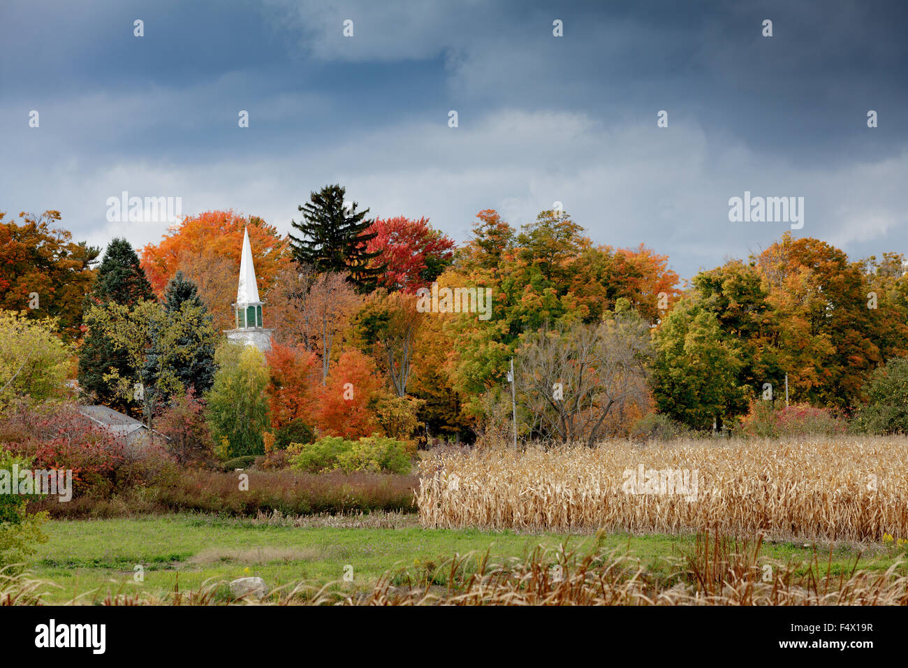 Feuillage d'automne, la vallée de la Mohawk, New York State, USA Banque D'Images