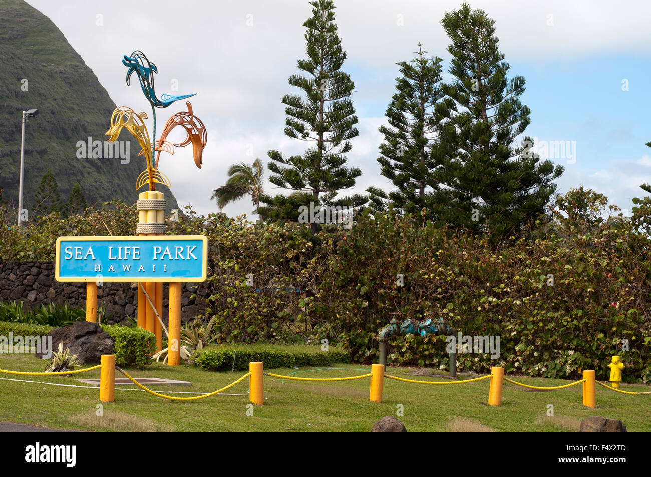 Sea Life Park Hawaii est un parc de mammifères marins, sanctuaire d'oiseaux et de l'aquarium près de Makapuʻu Point, au nord d'Hanauma Bay sur l'île d'Oahu à Hawaii. Banque D'Images