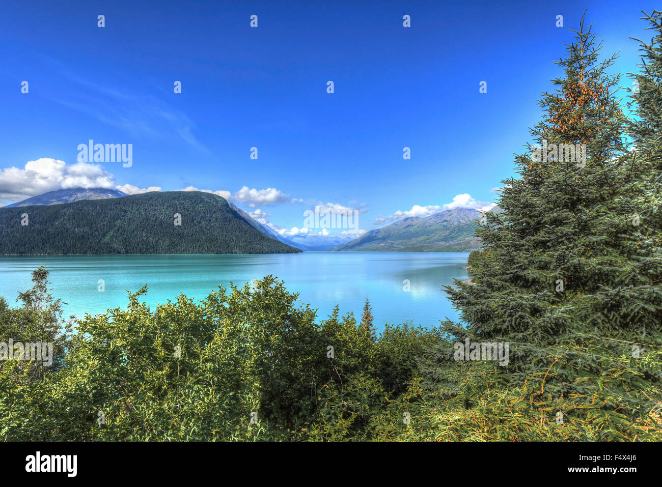 Un beau lac de limon le long de l'autoroute de Seward, en Alaska. Coloration Turquoise vient de limon glaciaire de ruissellement. Banque D'Images