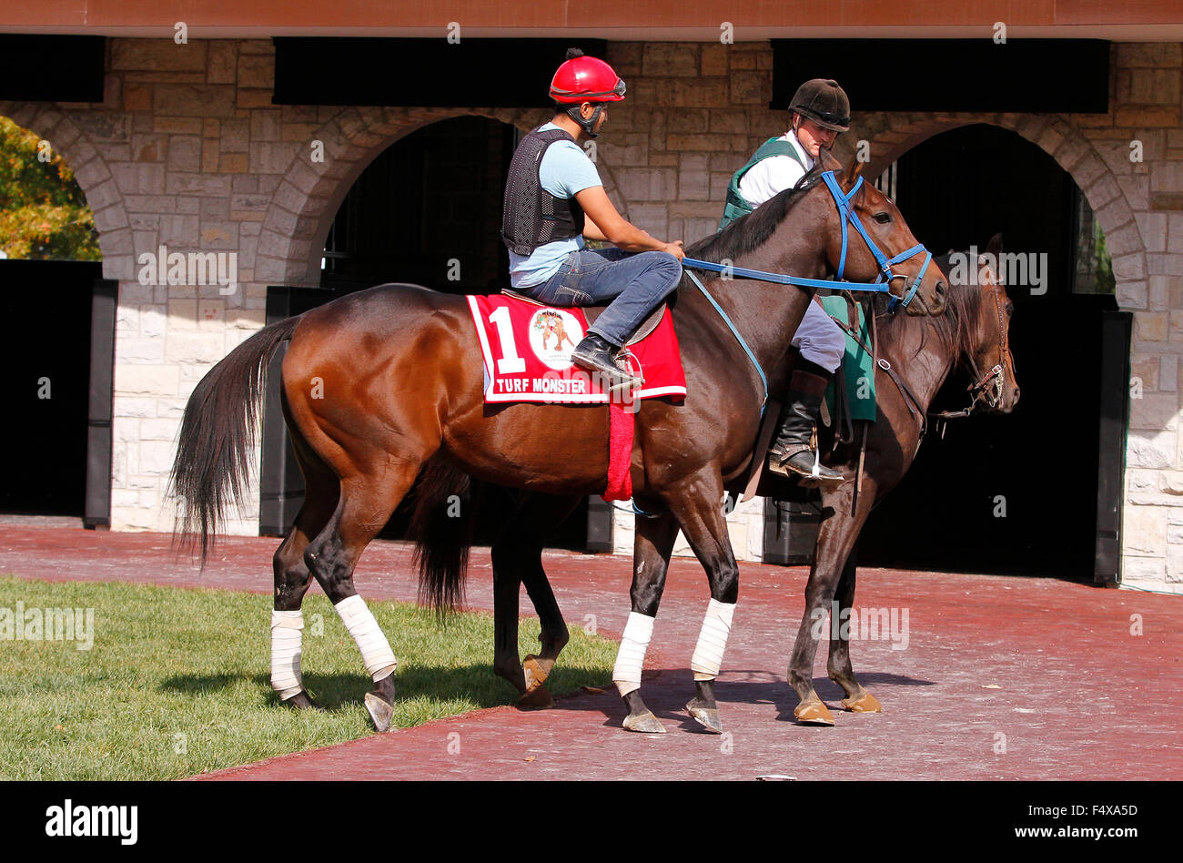 Lexington, Kentucky, USA. 23 Oct, 2015. 23 octobre 2015 : Mongolian écoles du samedi dans le paddock, formés par Enebish Ganbat et administré par le mongol stable, est entré dans la Breeder's Cup Turf au printemps. Candice Chavez/ESW/CSM/Alamy Live News Banque D'Images