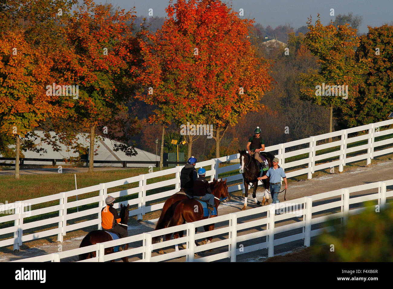 Lexington, Kentucky, USA. 23 Oct, 2015. 23 octobre 2015 : touristique, formés par William Mott, et administré par Gary Barber, et ferme Winstar, est entré dans la Breeder's Cup Mile. Candice Chavez/ESW/CSM/Alamy Live News Banque D'Images