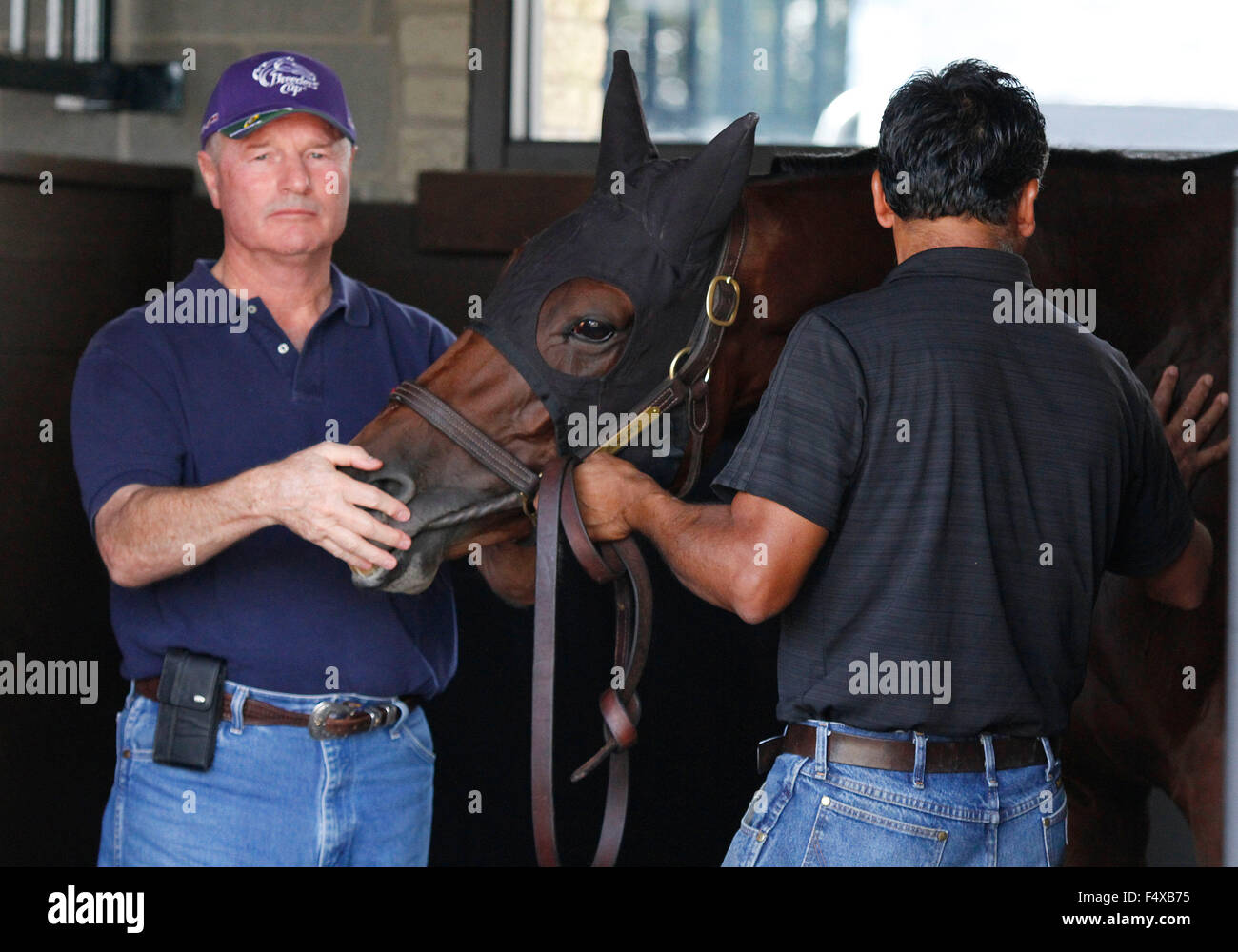 Lexington, Kentucky, USA. 23 Oct, 2015. 23 octobre 2015 : qui regarde l'enseignement dans le paddock, formés par Richard Mandella, et administré par B. Wayne Hughes, saisi dans le Breeder's Cup Classic 1 e année 5 000 000 $, et la Breeder's Cup Quenouille 2 000 000 $. Candice Chavez/ESW/CSM/Alamy Live News Banque D'Images