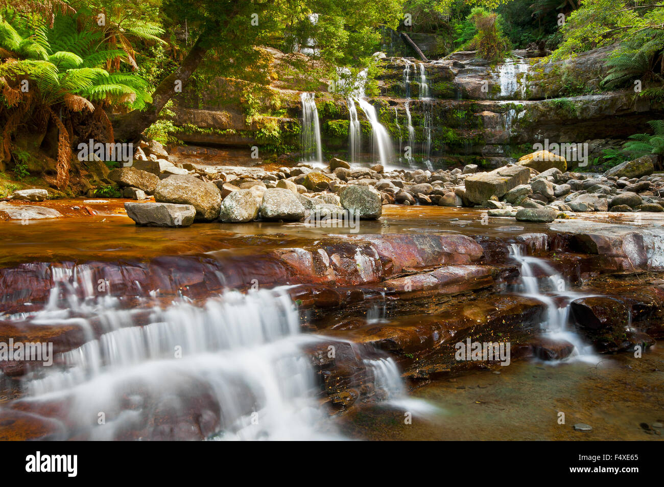 Liffey Falls dans le Great Western Tiers. Banque D'Images