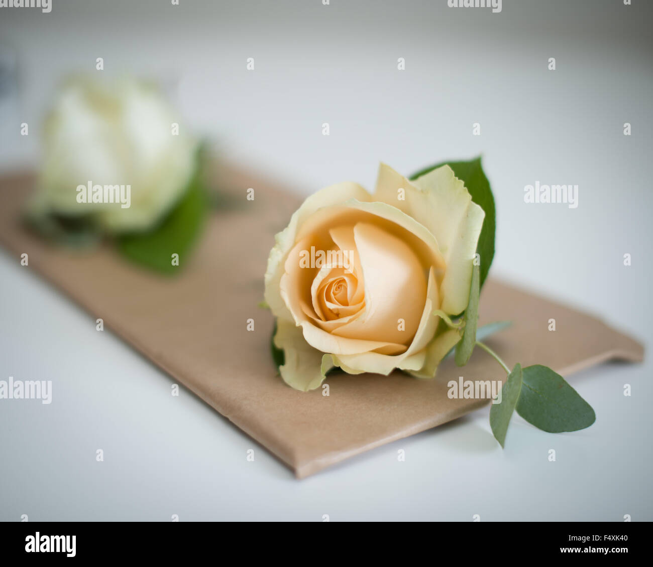 Boutonnière de mariage fleur rose crème avec un feuillage vert Banque D'Images