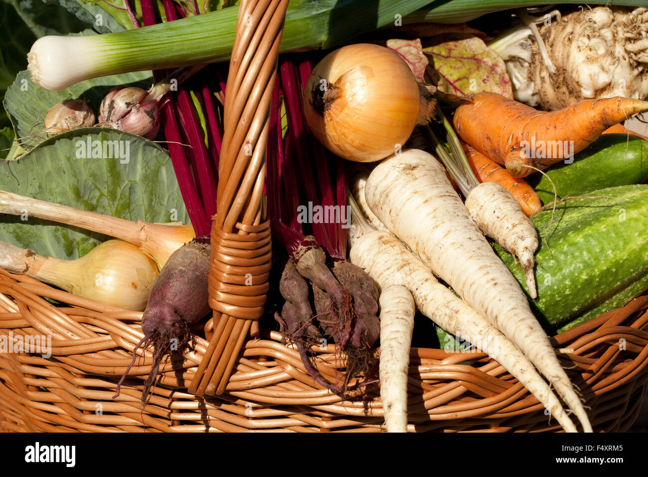 Des différentes espèces de légumes dans le panier dans le jardin Banque D'Images