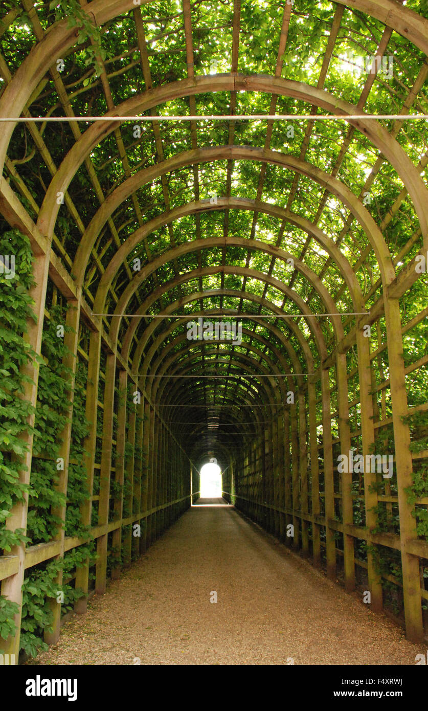 La lumière au bout d'un tunnel dans le corridor en bois et ornés de couvrir à Hampton Court Palace Gardens, London England Banque D'Images La lumière au bout d'un tunnel dans le corridor en bois et ornés de couvrir à Hampton Court Palace Gardens, London England Banque D'Images