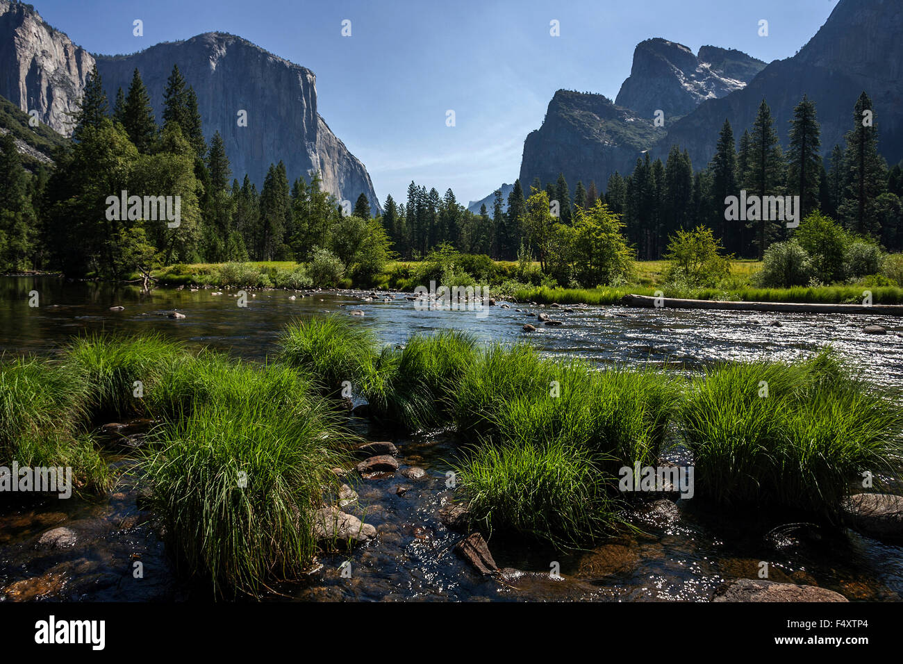 La rivière Merced, El Capitan, de gauche à droite, les roches de la cathédrale, la lumière du soir la vallée Yosemite, Yosemite National Park, États-Unis Banque D'Images