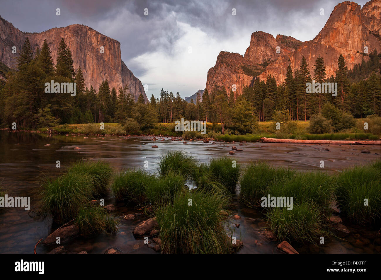 La rivière Merced, El Capitan, de gauche à droite, les roches de la cathédrale, la lumière du soir la vallée Yosemite, Yosemite National Park, États-Unis Banque D'Images
