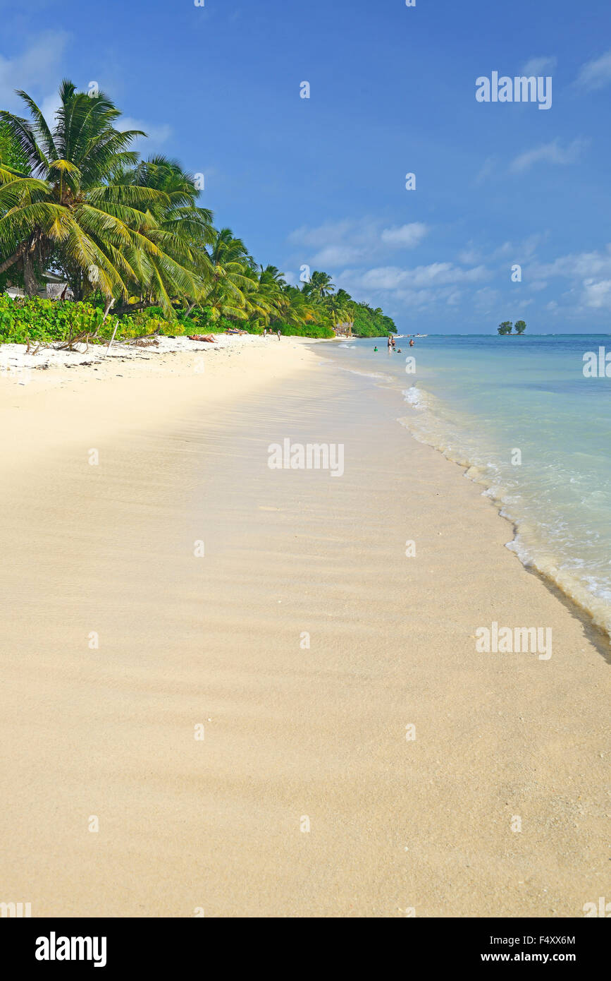 Anse La réunion, plage de rêve, des palmiers, l'île de La Digue, Seychelles Banque D'Images