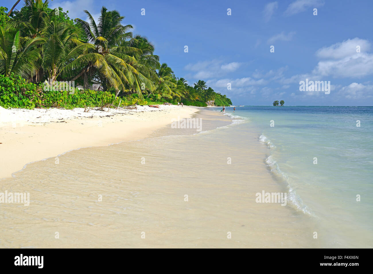 Anse La réunion, plage de rêve, des palmiers, l'île de La Digue, Seychelles Banque D'Images