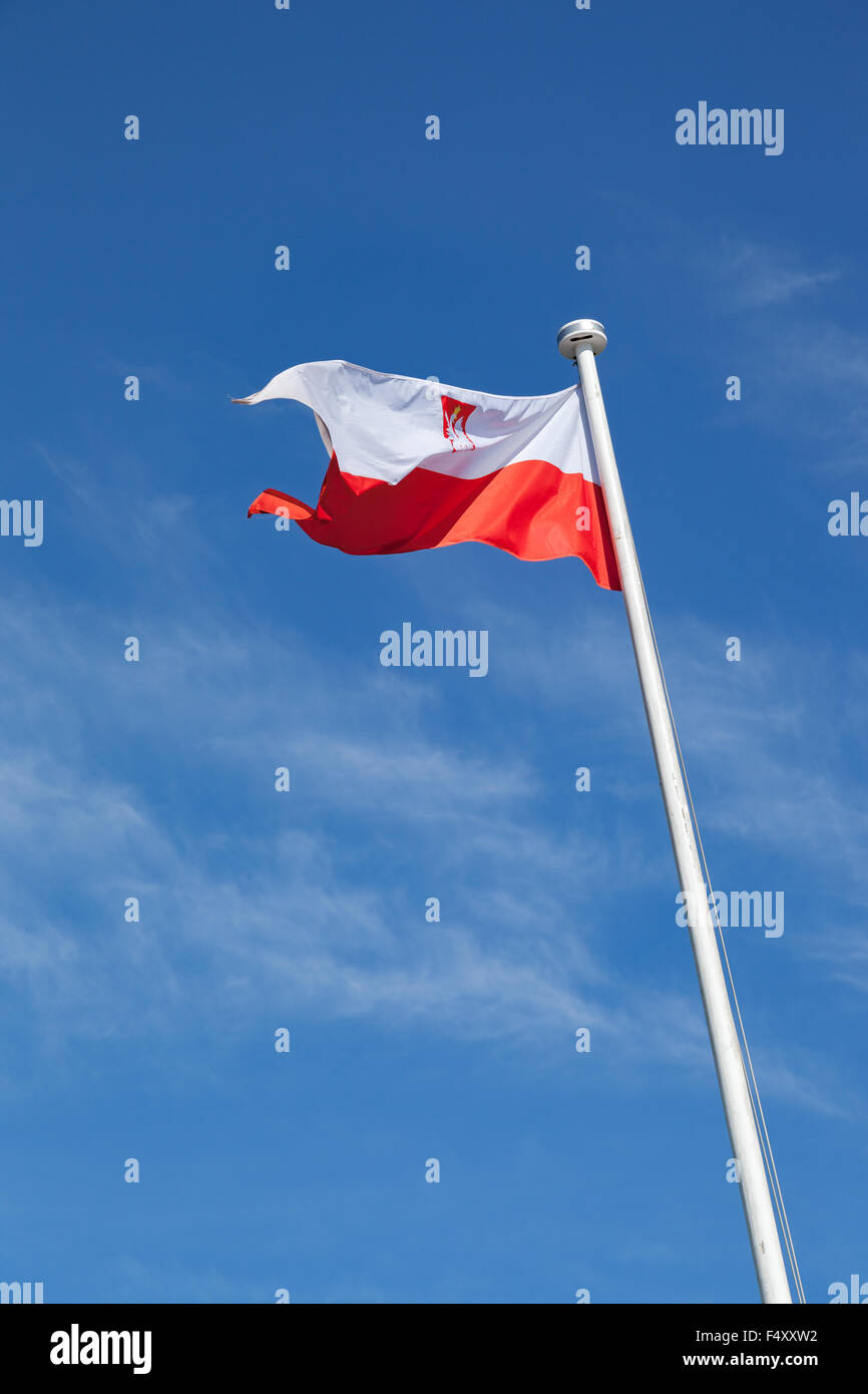 Drapeau national polonais dans le ciel. Banque D'Images