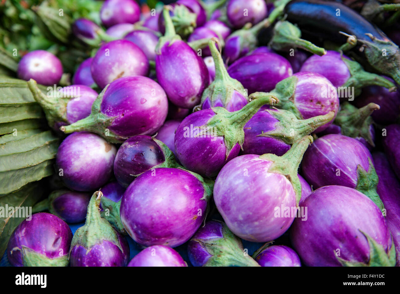 Brinjal Round purple aubergine ou la vente au marché local le dimanche. Focus sélectif avec une faible profondeur de champ. Banque D'Images