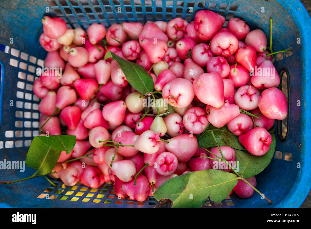 Rose des pommes ou des fruits à la vente locale de Bell le marché de dimanche. L'accent a fait au centre et peu profondes 6. Banque D'Images