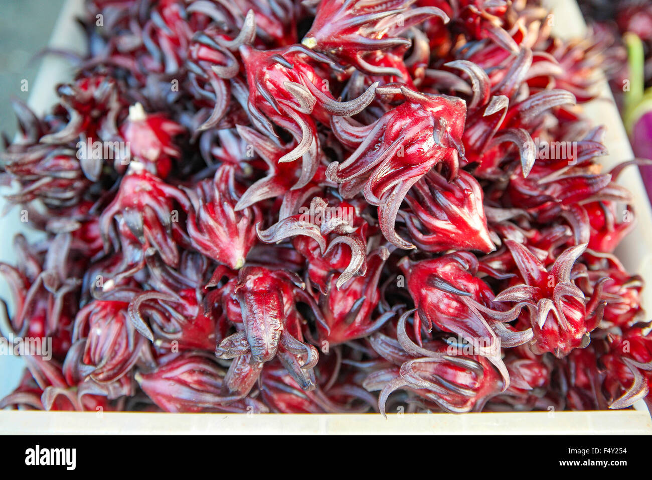 Vente de fruits de la Roselle au niveau local marché de dimanche. L'accent a fait au centre et peu profondes 6. Banque D'Images