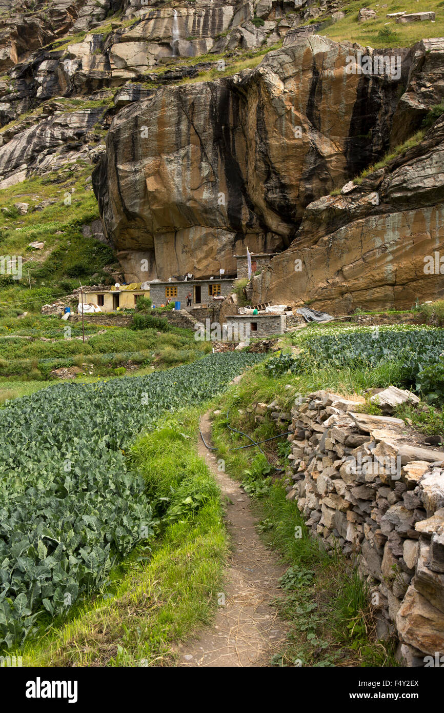 L'Inde, l'Himachal Pradesh, le Lahaul Valley, Sissu, maisons construites à l'abri de la falaise de protection contre les avalanches Banque D'Images