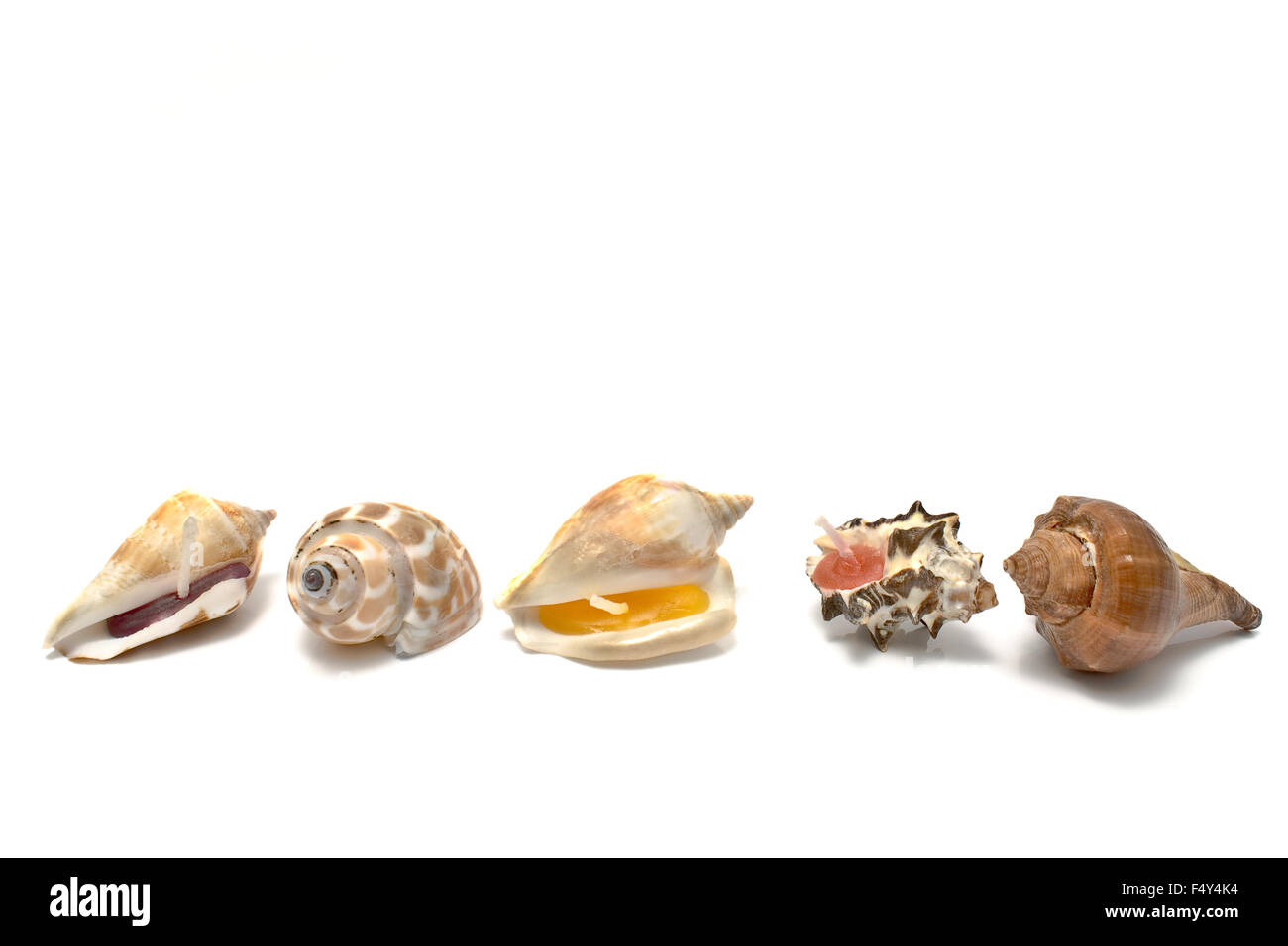 Spa aromatique bougies dans une forme d'escargots isolated on white Banque D'Images