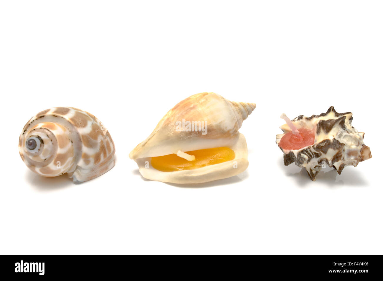 Spa aromatique bougies dans une forme d'escargots isolated on white Banque D'Images