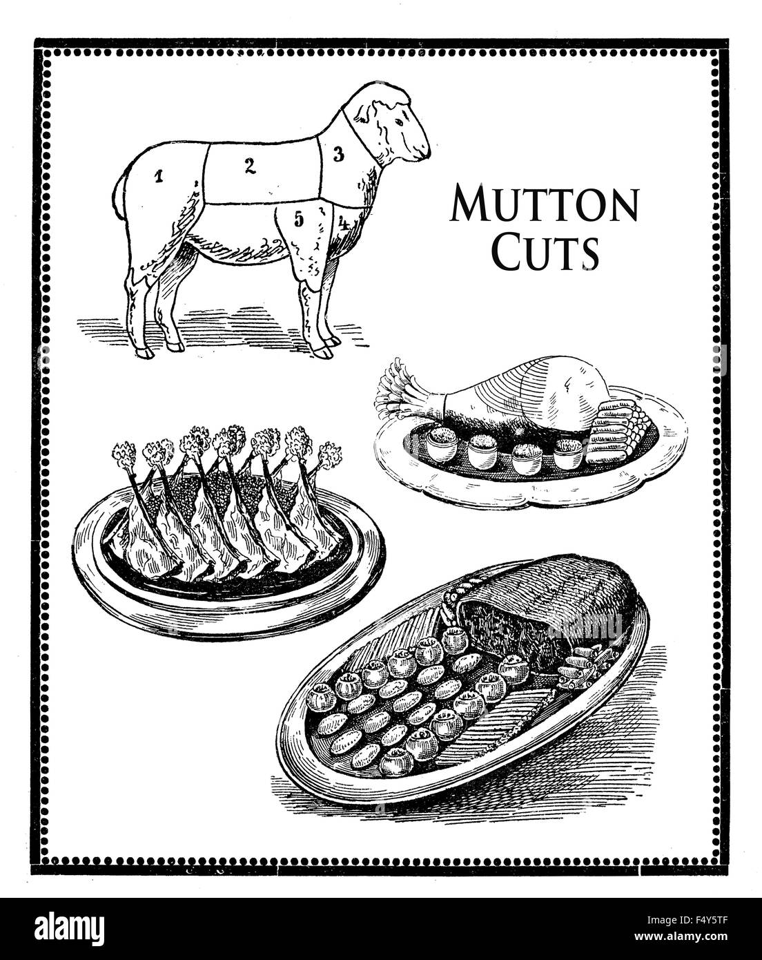 Vintage, collage des gravures de l'alimentation coupes numérotées de mouton,dos, jambe et côtes présentation Banque D'Images