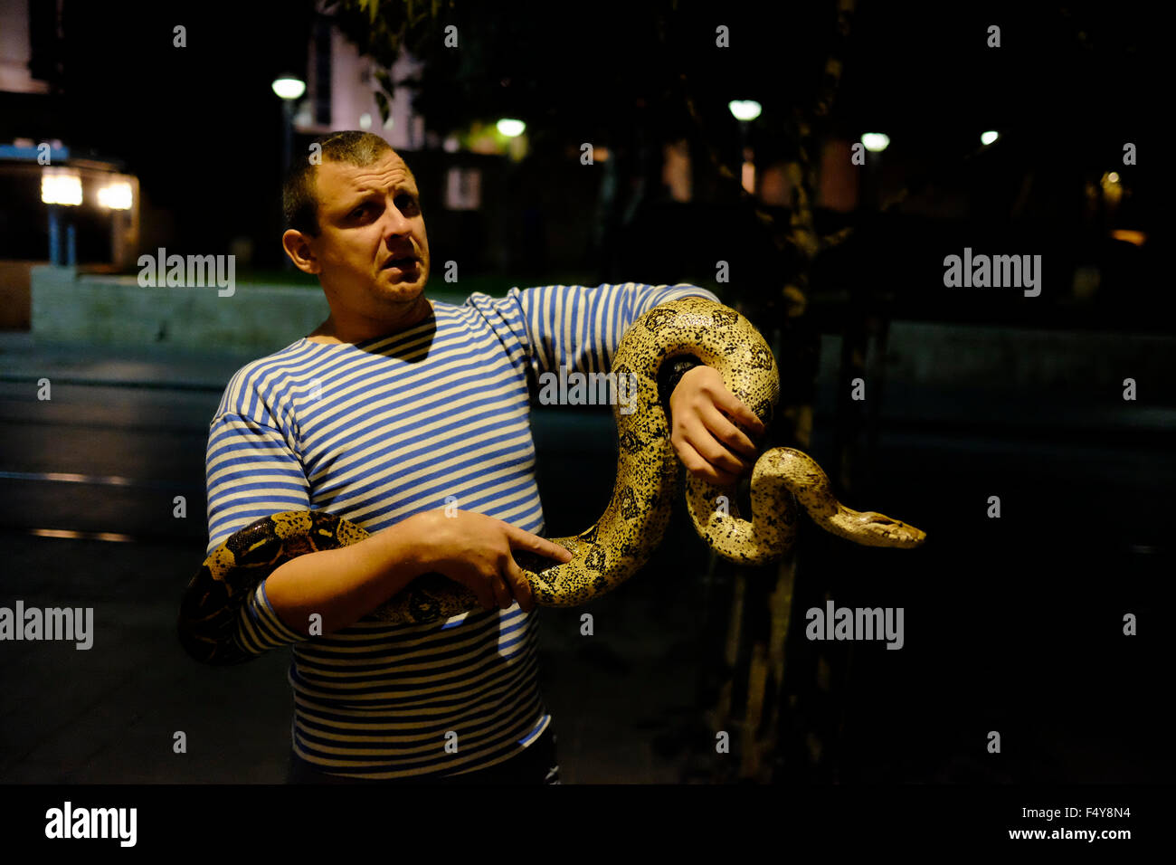 Un Israélien est titulaire d'un boa constrictor, également appelé le boa à queue rouge ou le serpent boa commun à Jaffa Street West Jérusalem Israël Banque D'Images
