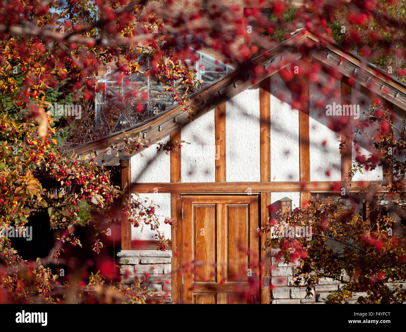 Une vue sur le parc Jardin Japonais au chalet (maison), Public Boffins Innovation Place de Saskatoon, Saskatchewan, Canada. Banque D'Images