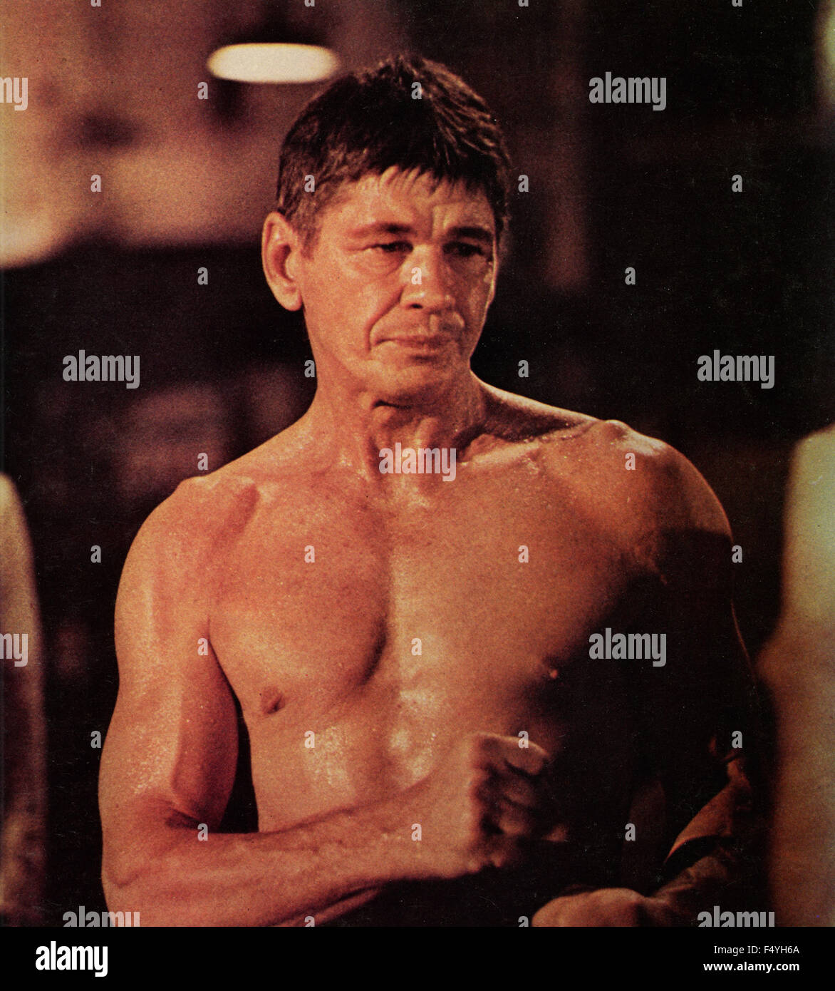 TÉLÉCHARGER LE BAGARREUR CHARLES BRONSON