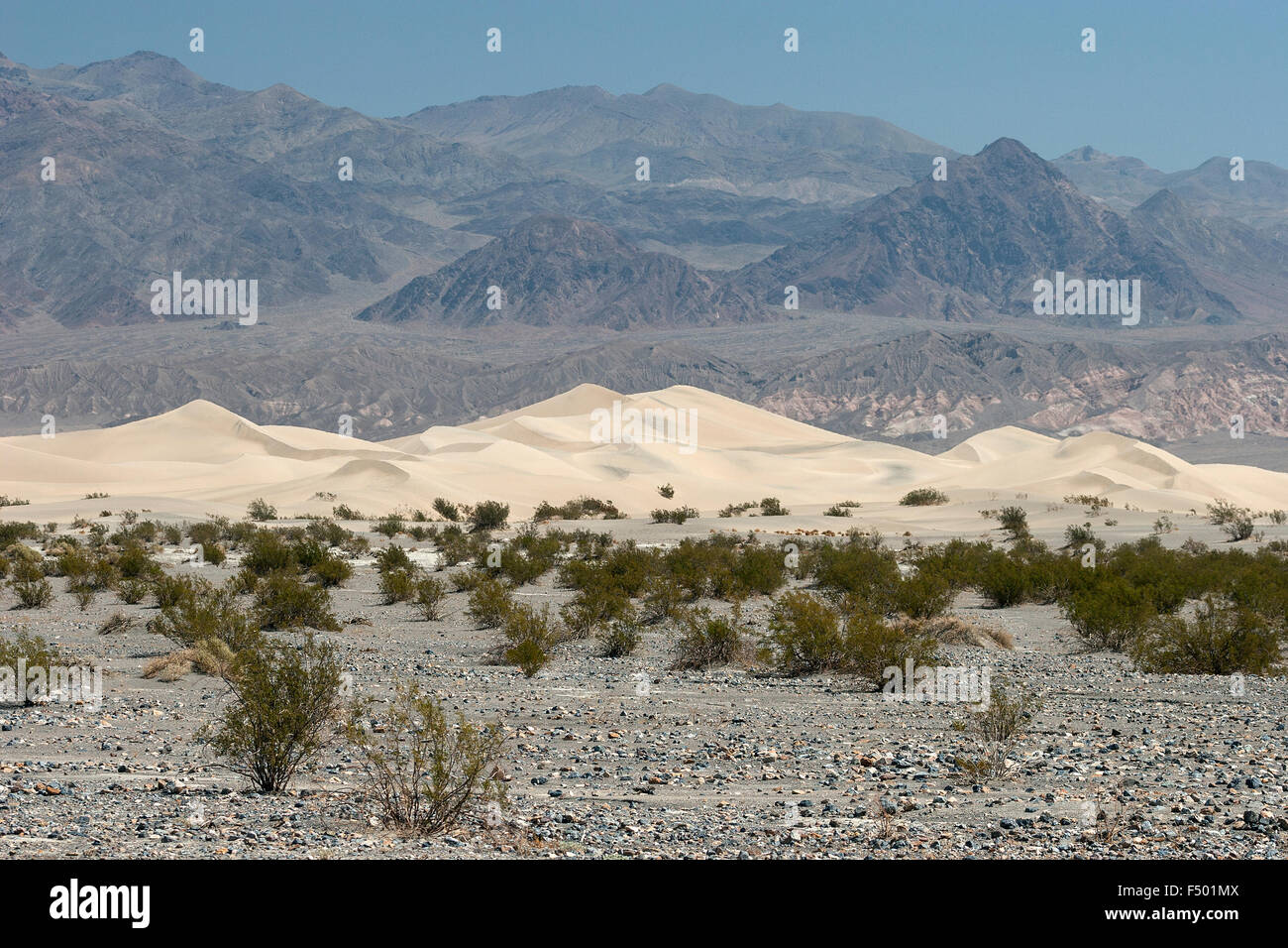 Télévision Mesquite Sand Dunes, Death Valley National Park, désert de Mojave, Californie, USA Banque D'Images
