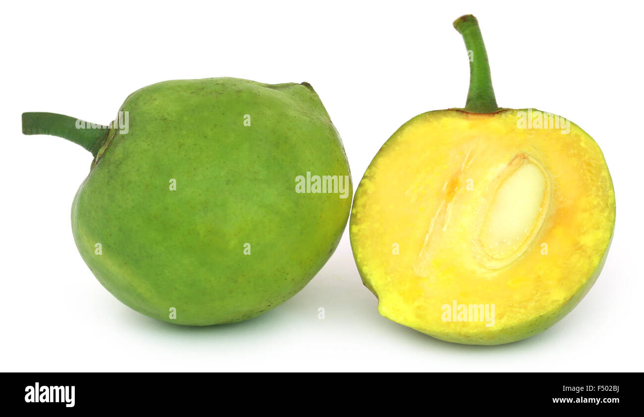 Garcinia tinctoria ou Daophal comestibles du Bangladesh sur fond blanc Banque D'Images